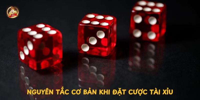 nguyen-tac-co-ban-khi-dat-cuoc-tai-xiu